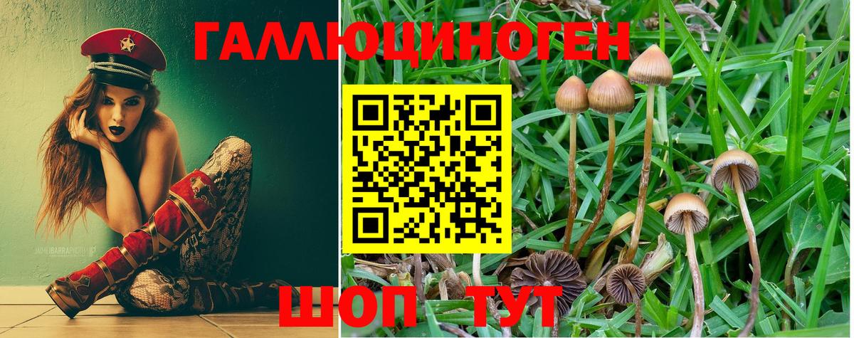 Галлюциногенные грибы мицелий Королёв