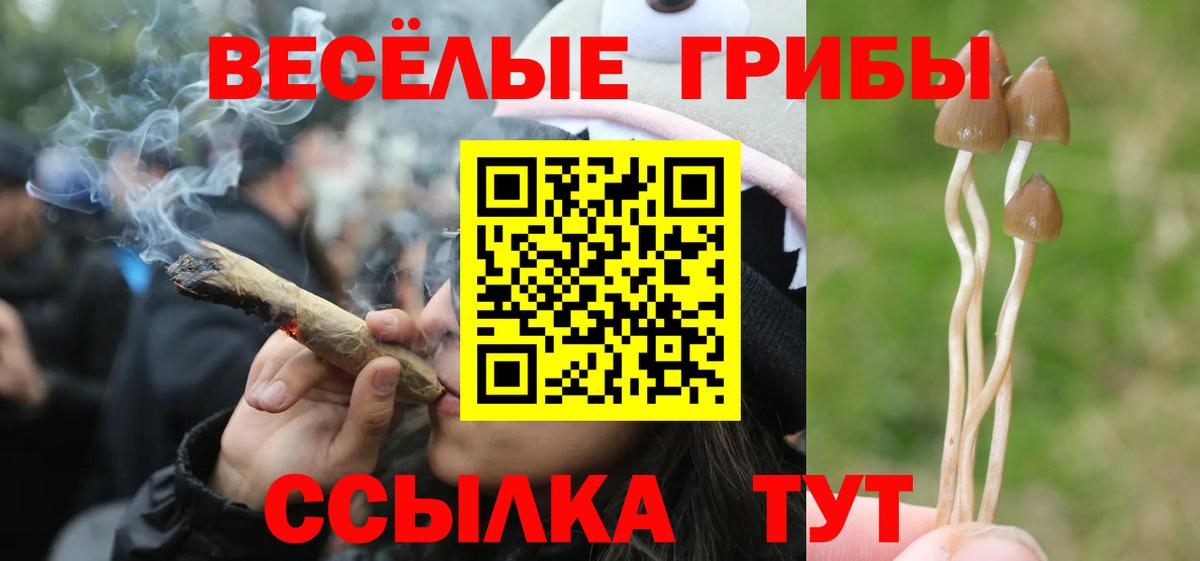 Галлюциногенные грибы Magic Shrooms  Вход с VPN  Королёв  Галлюциногенные грибы GOLDEN TEACHER 